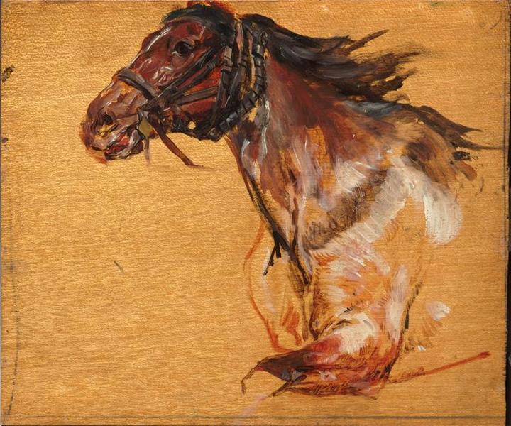Etude de cheval_0