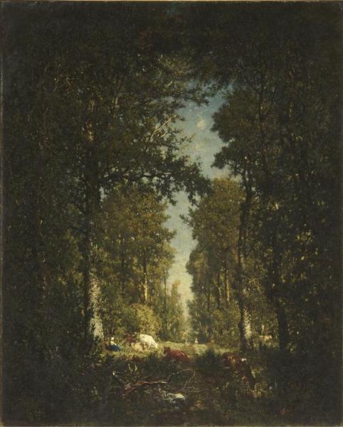 Une avenue, forêt de L'Isle-Adam_0