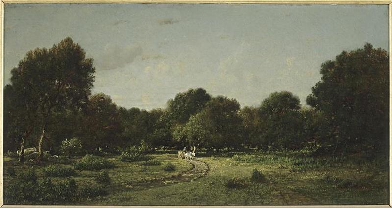 CLAIRIERE DANS LA HAUTE FUTAIE ; FORET DE FONTAINEBLEAU, DIT LA CHARRETTE_0