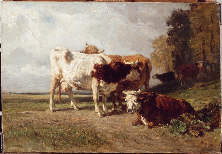 Vaches au repos_0