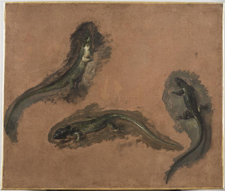 TROIS LEZARDS_0