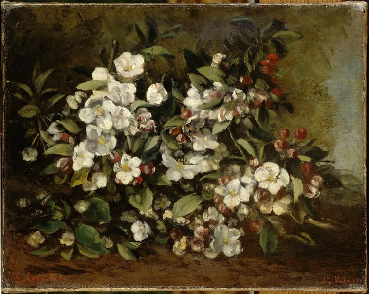Branche de pommier en fleurs, dit aussi fleurs de cerisier_0