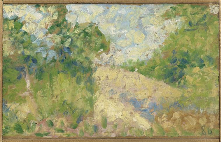 PAYSAGE ROSE_0