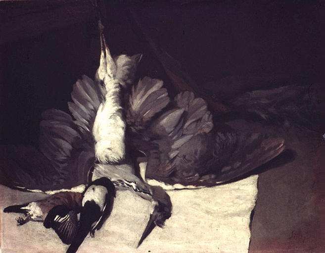 HERON AUX AILES DEPLOYEES_0