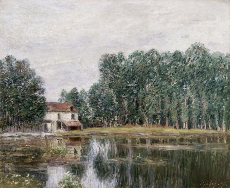 BORDS DU LOING_0
