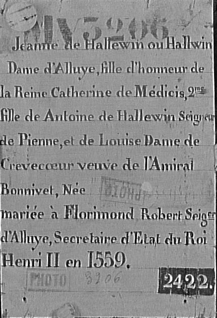 JEANNE DE HALLUIN, DAME D'ALLUYE_1