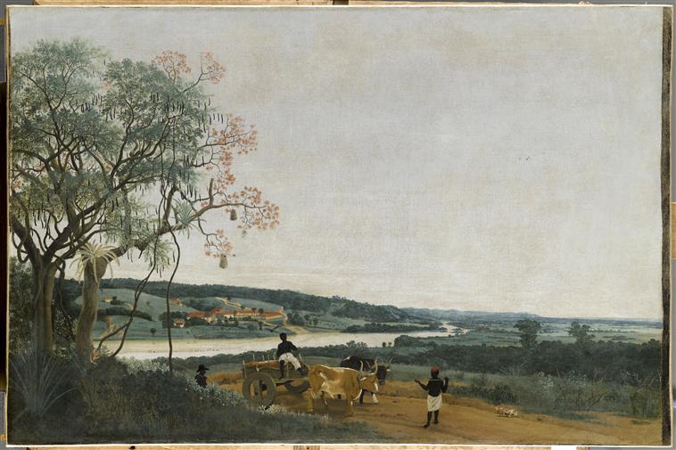 LE CHAR A BOEUF. PAYSAGE BRESILIEN_0