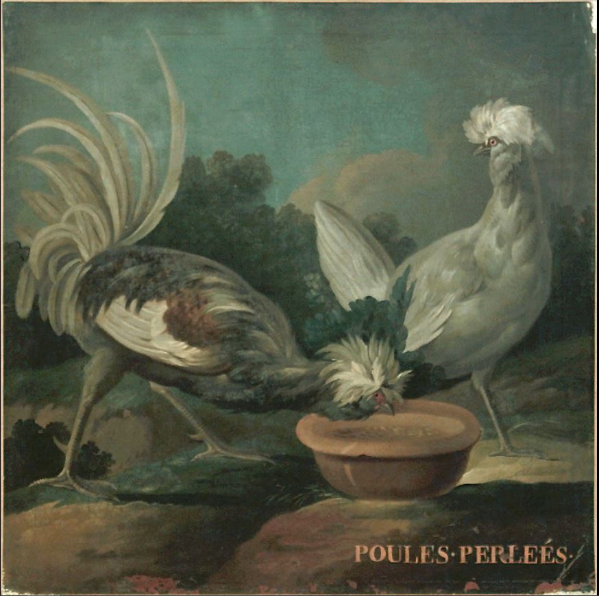 DEUX POULES PERLEES_0