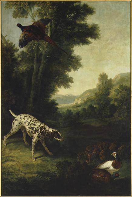 CHIEN EN ARRET SUR DES FAISANS_0