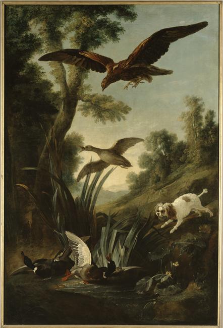 UN OISEAU DE PROIE TOMBANT SUR DES CANARDS QUI SE CACHENT DANS DES ROSEAUX_0