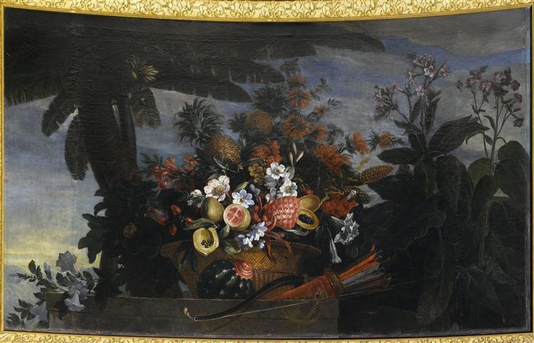 FLEURS ET FRUITS D'AMERIQUE_0