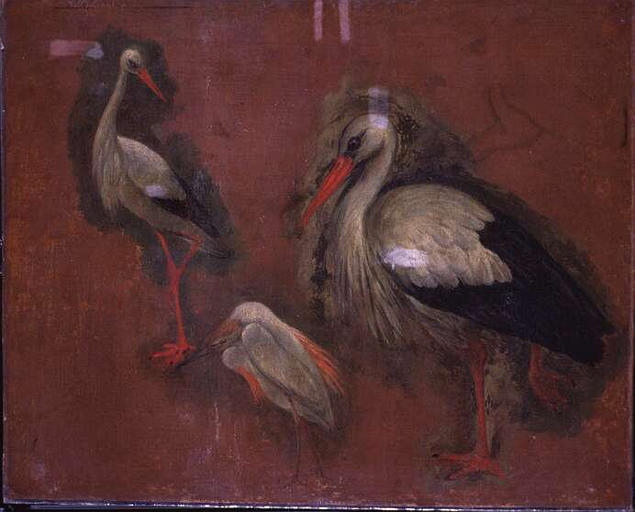 ETUDE DE HERONS_0