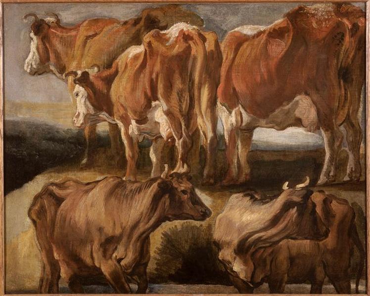 Etudes de vaches_0