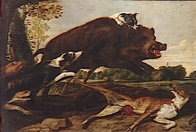 CHASSE AU SANGLIER_0