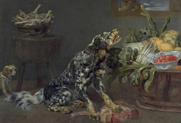 CHIEN DANS UNE CUISINE_0
