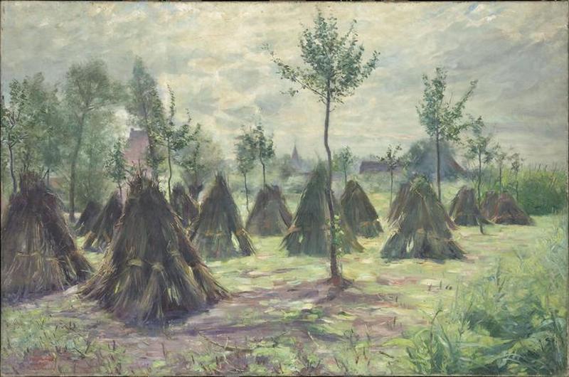 MEULES DE FEVES DANS LES MARAIS_0