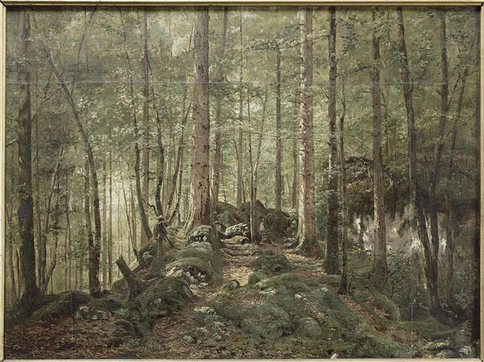 CHASSEUR DANS UN SOUS-BOIS DANS LE JURA_0