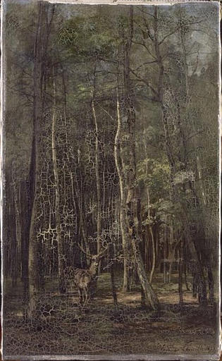 FONTAINEBLEAU ; BOULEAUX ET PINS_0