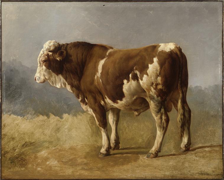 TAUREAU_0