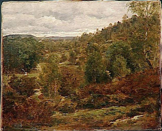 LE PRE LARCHER EN FORET DE FONTAINEBLEAU_0