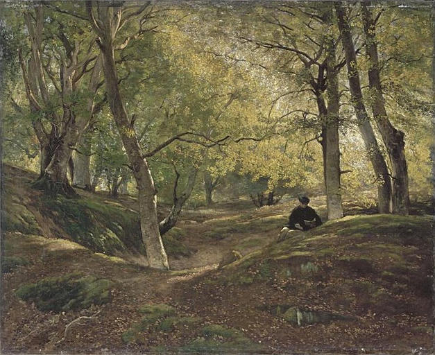 HETRAIE DANS LA FORET DE FONTAINEBLEAU_0