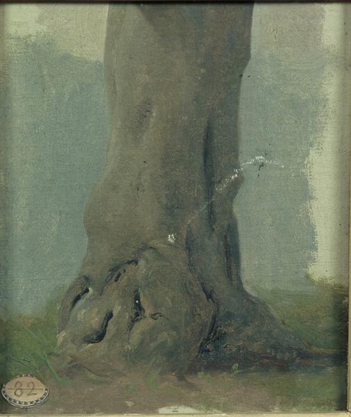 ETUDE DE TRONC D'ARBRES_0
