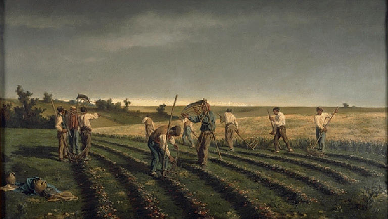 FAUCHEURS DE SAINFOIN A CHAMBOUDIN_0