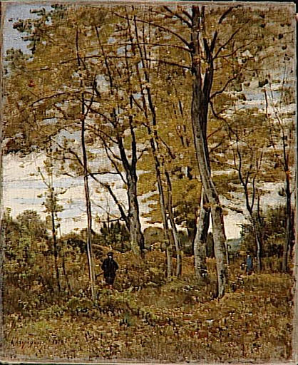 UN SOUS-BOIS_0