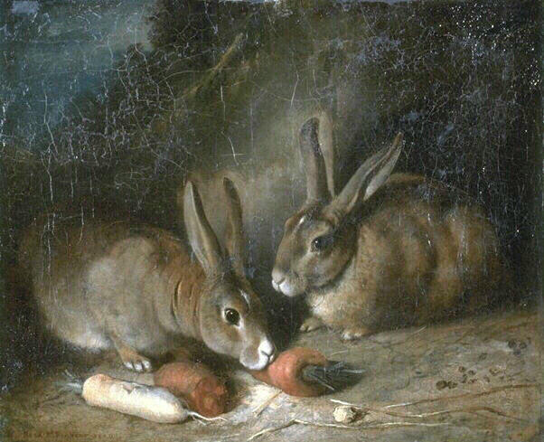 Lapins_0