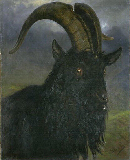Tête de bouc, Rosa Bonheur, 3e quart 19e siècle