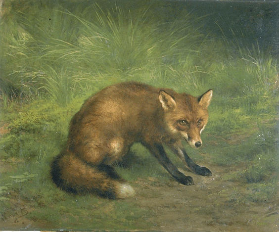 Étude de renard_0