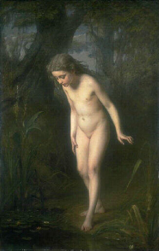 Miroir des bois_0
