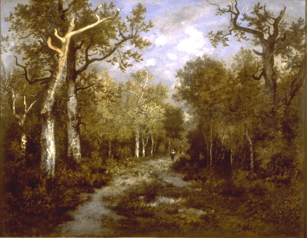 La forêt de Fontainebleau_0