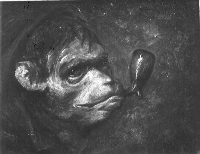 TETE DE SINGE FUMANT LA PIPE_0