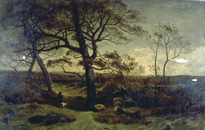 Lisière d'un bois_0