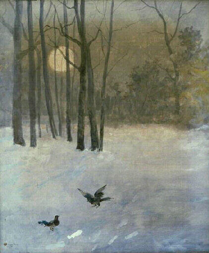 Oiseaux dans la neige_0