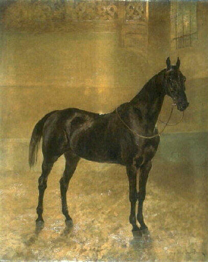 Le cheval de Monsieur Dohège_0