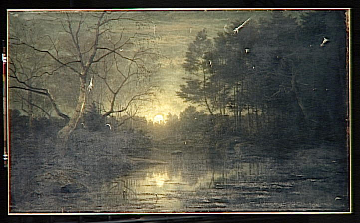 LA MARE APPIA DANS LA FORET DE FONTAINEBLEAU, NUIT D'HIVER_0