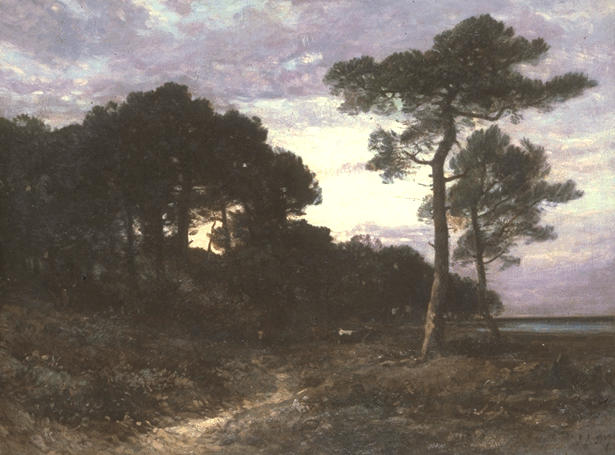 Paysage des Landes_0