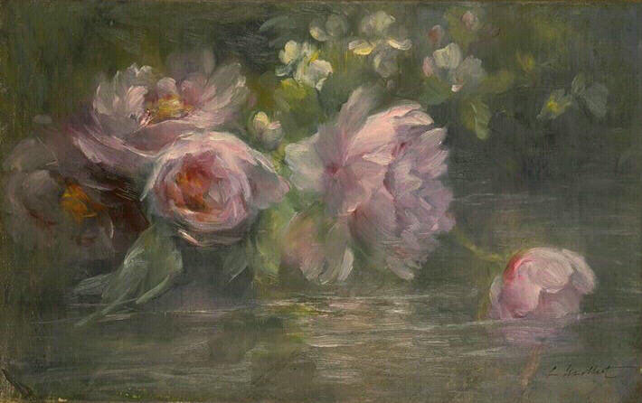 Pivoines_0