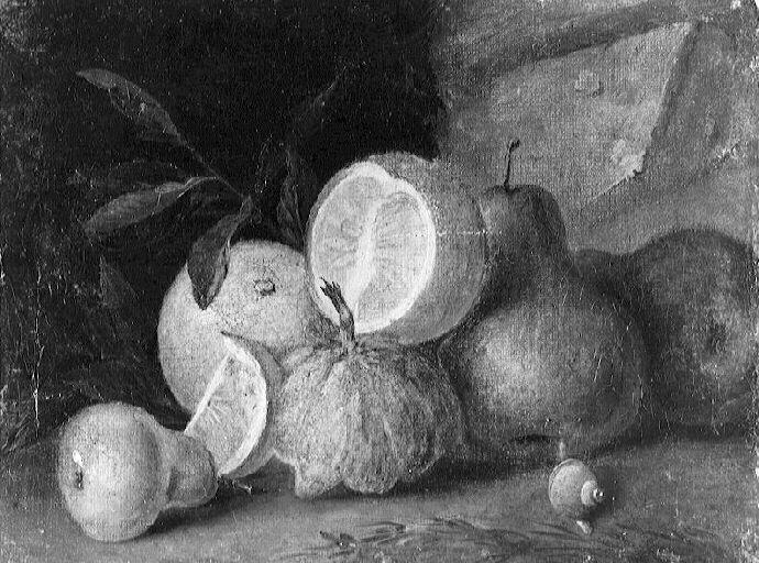 NATURE MORTE, POIRES, POMMES, ORANGES AVEC UN ESCARGOT_0