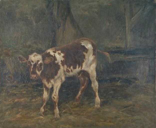 ETUDE DE VEAU_0