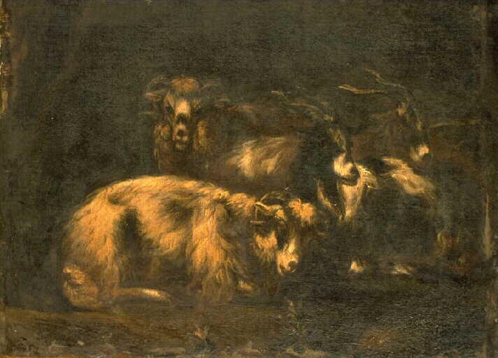 CHEVRES ET BELIERS_0