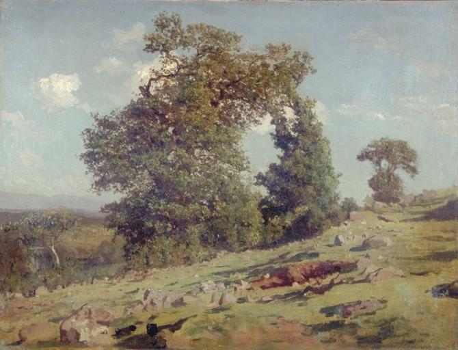 GROUPE DE CHENES AUX ENVIRONS DE MAURIAC_0