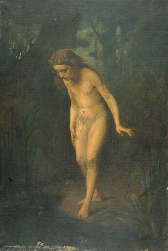 Le miroir des bois_0