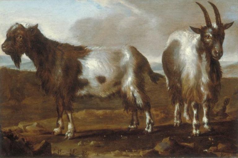 ETUDE DE CHEVRES, Albert Jansz Klomp, 17e siècle