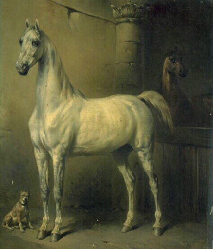 Etude de cheval blanc, Emile de Lansac, 19e siècle