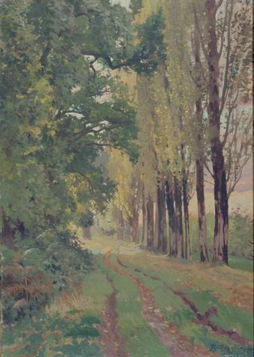 ALLEE DE PEUPLIERS_0