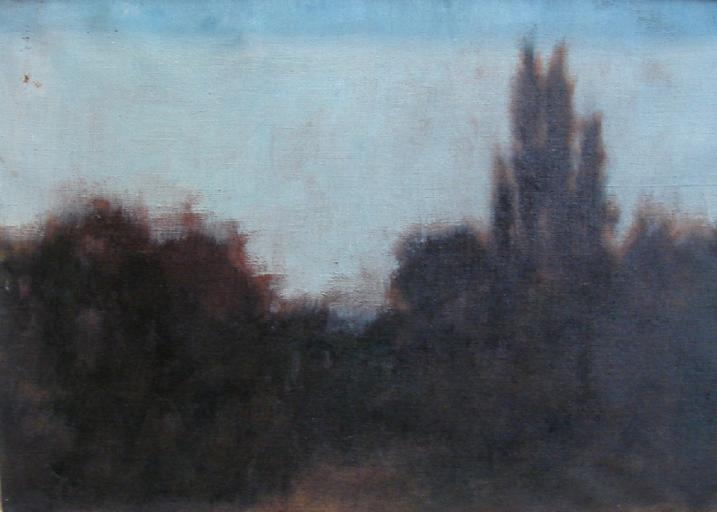 Silhouettes d'arbres à Bernwiller_0