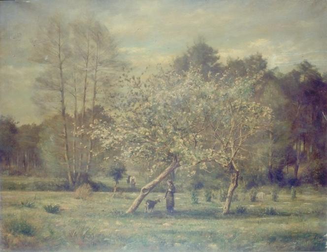 SOUVENIR D'AVRIL : SOUS-BOIS PRINTANIER_0